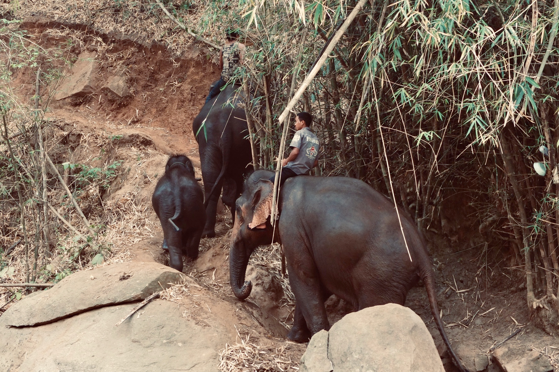 Landscape of Chiang Mai