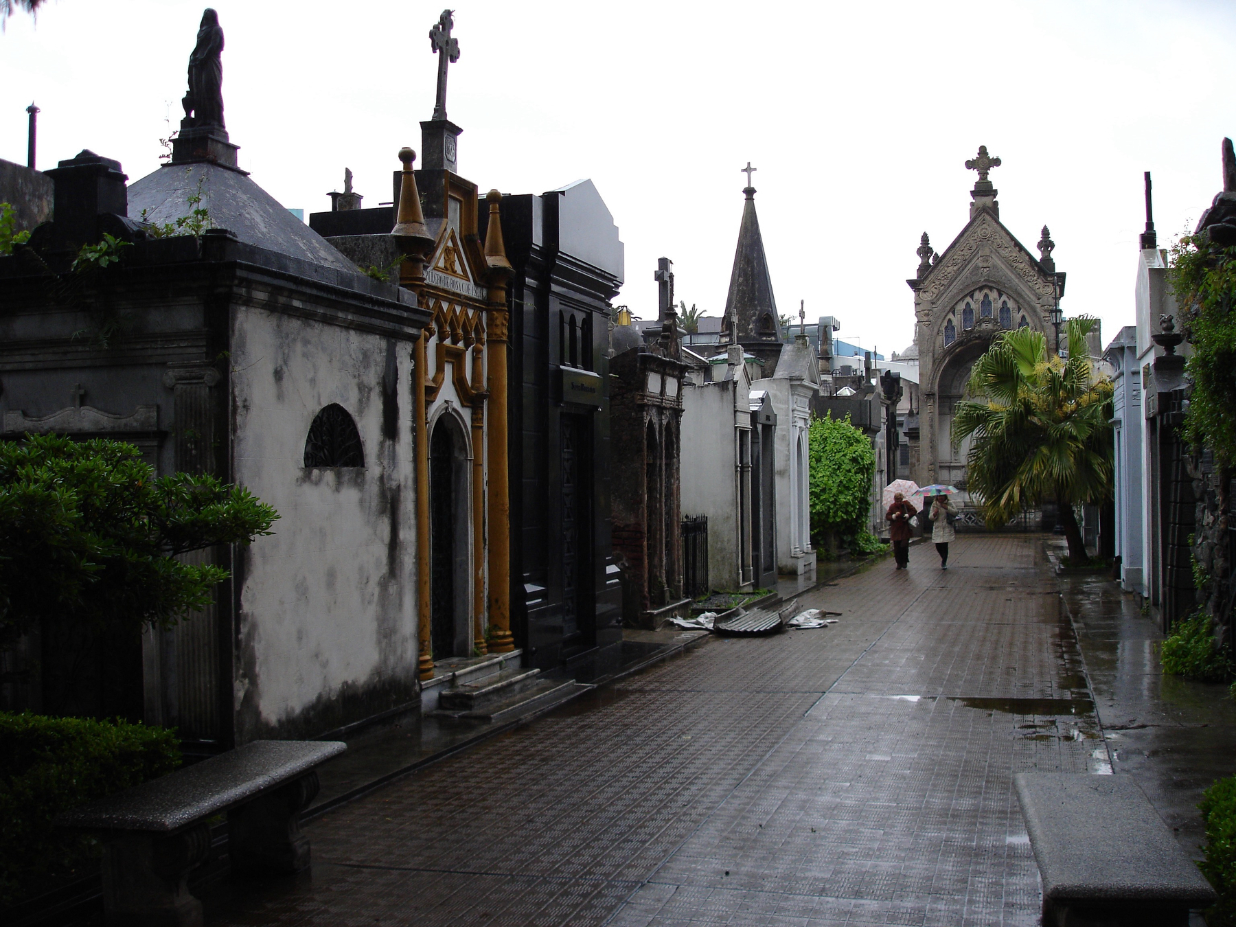 Library - 10 of 46.