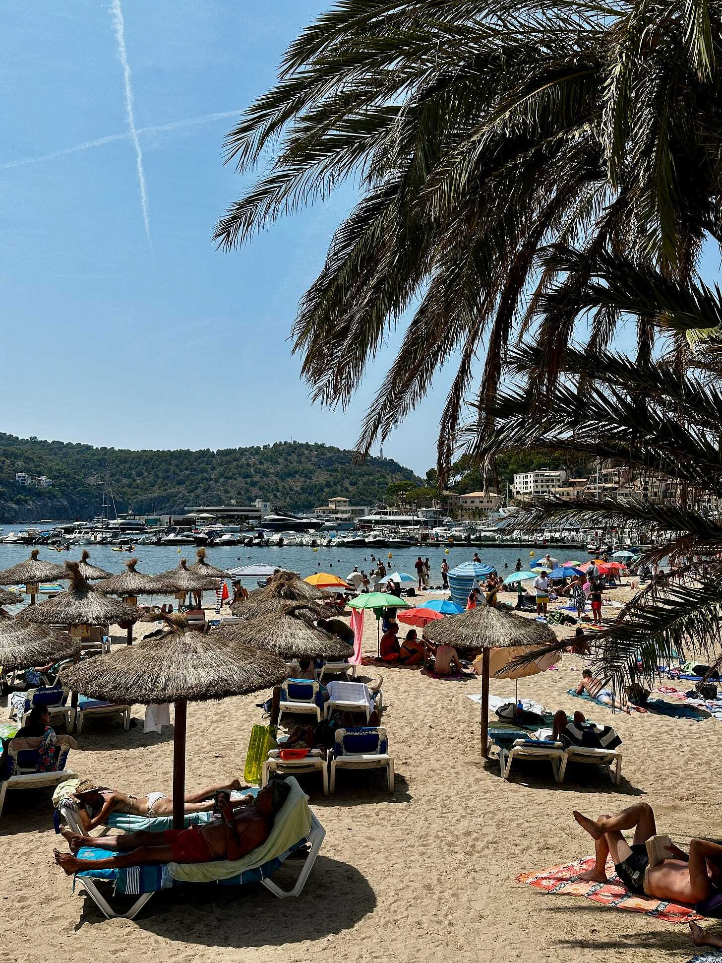 Sóller: Mallorca’s Hidden Gem Sóller: Mallorca’s Hidden Gem