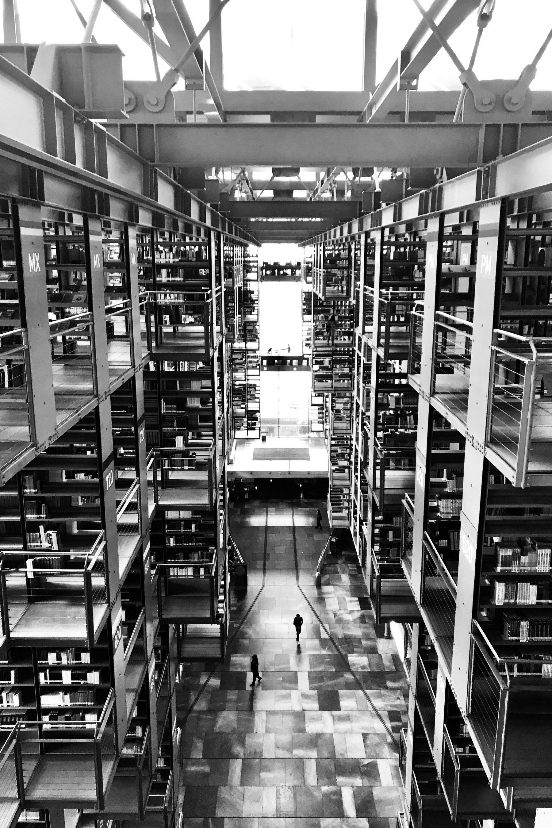 Library - 27 of 37.jpeg Library - 27 of 37.