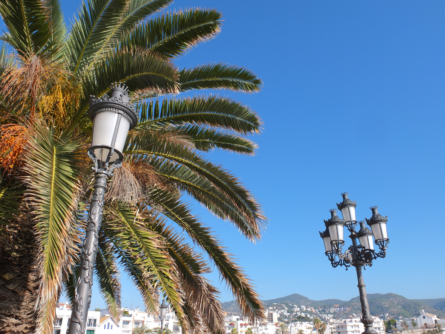 Palm trees and ornate street lamps are set against a clear blue sky with distant hills and white buildings in the background.
