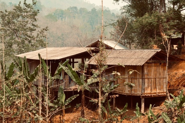 Elephant in sanctuary