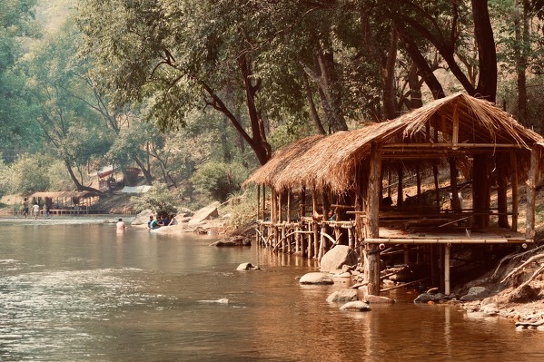 Elephant bathing in river