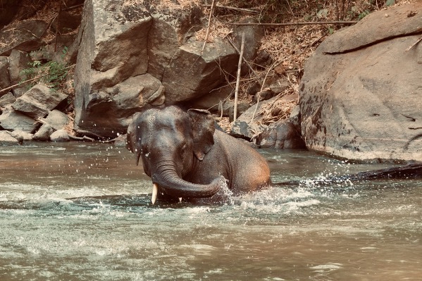 Playing in the river