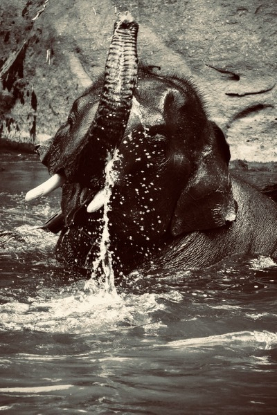 River fun