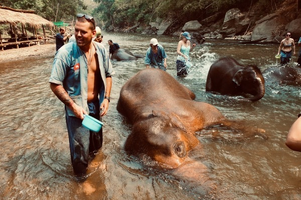 Joyful elephant moments