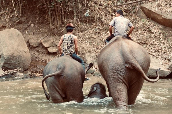 Splashing in Chiang Mai