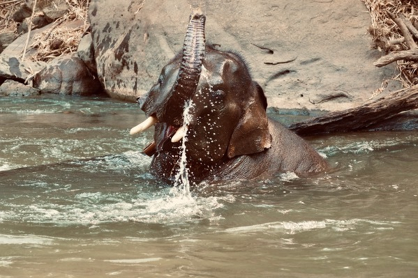 River moments