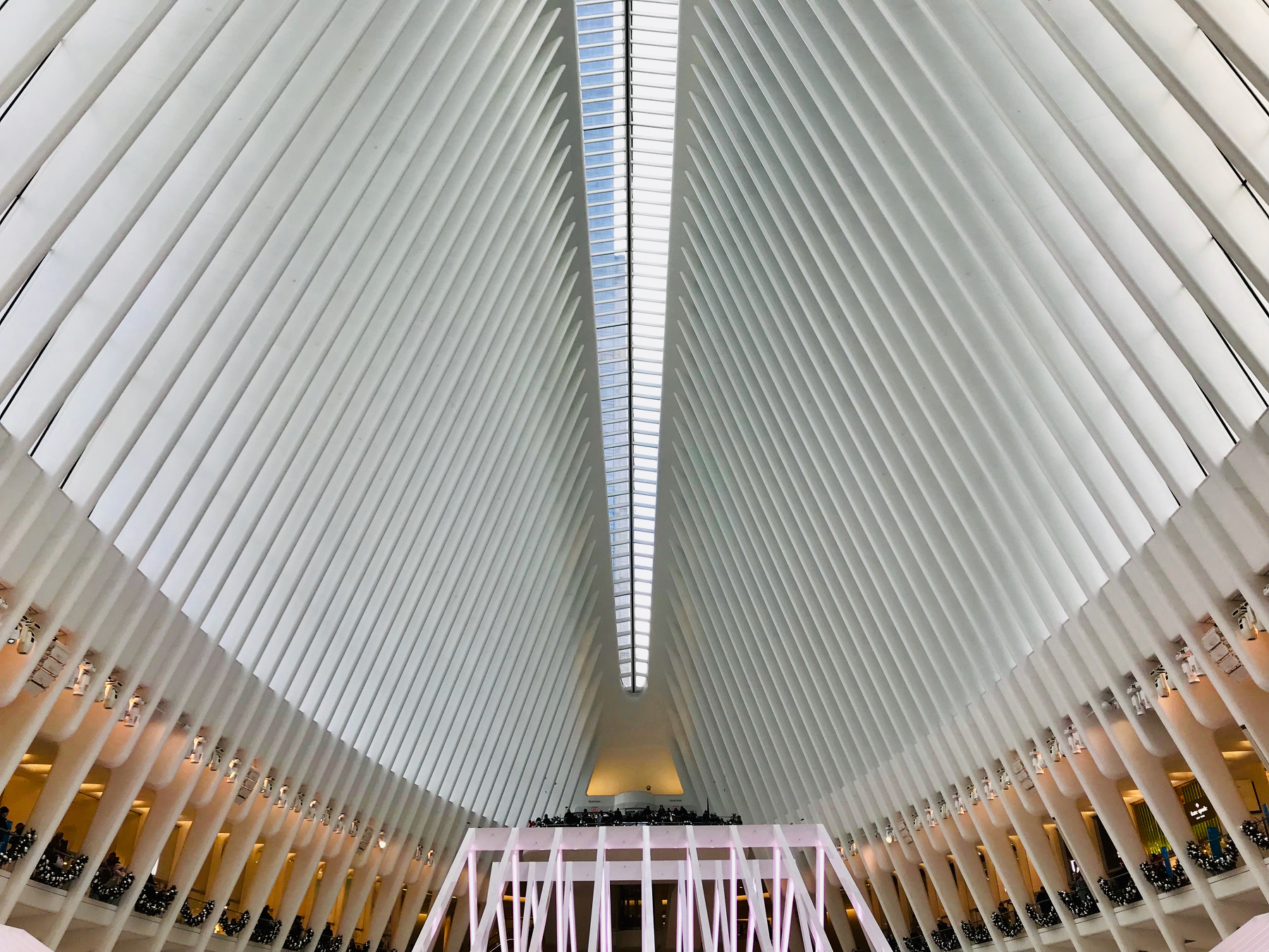 Library - 3 of 13.