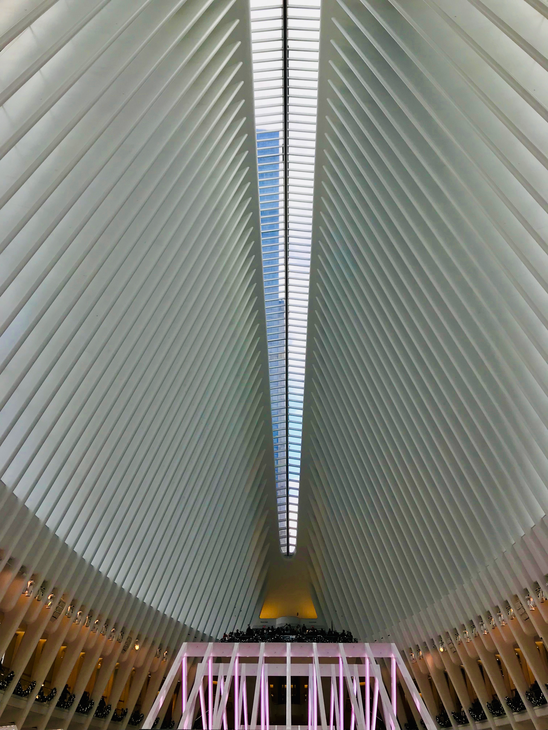 Library - 4 of 13.