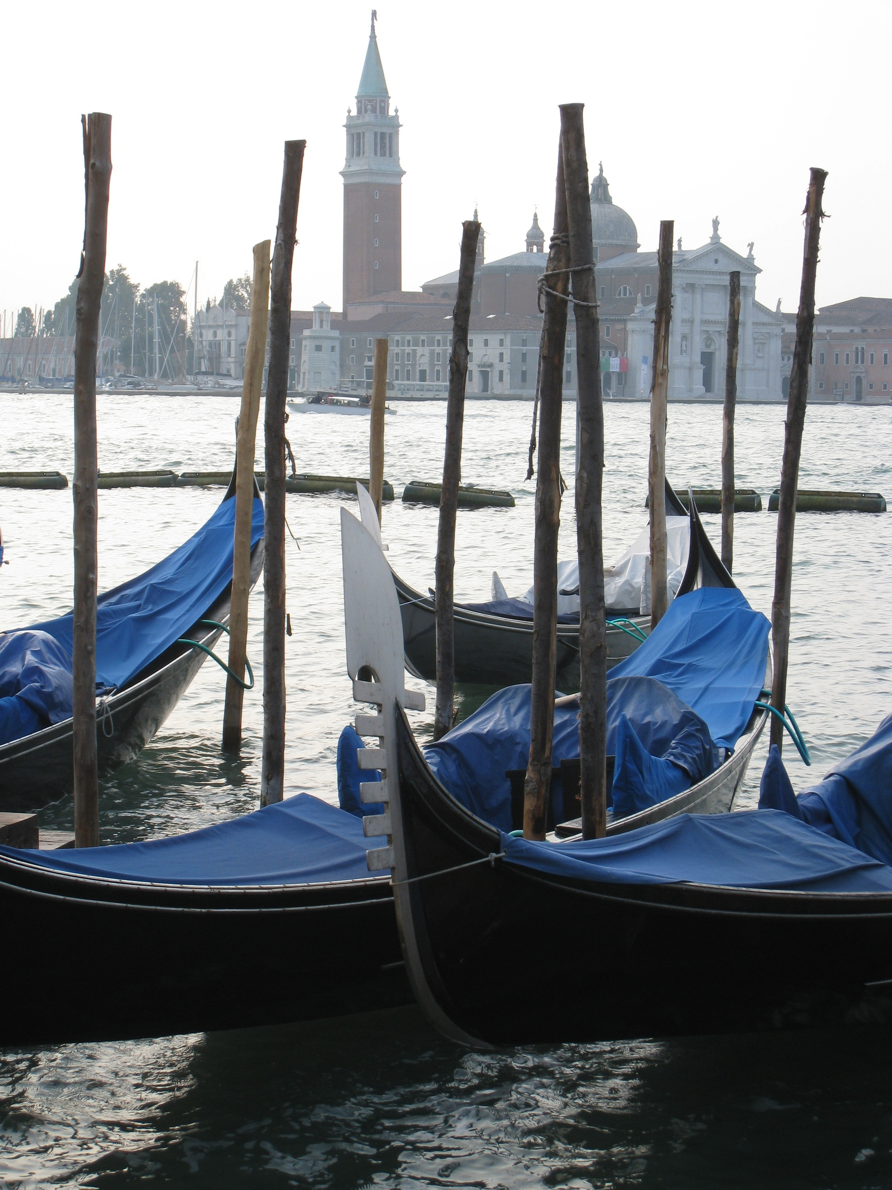 Venice Piazza San Marco Italy (7 of 9)